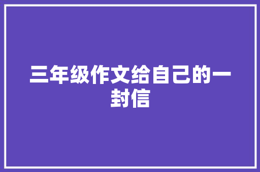 探寻右尾灯车型背后的设计智慧,安全与美学的完美融合