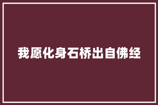 探寻号牌魅力,介绍不同车型号牌背后的含义