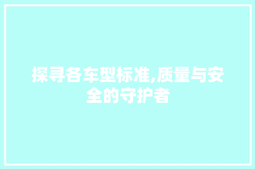 探寻各车型标准,质量与安全的守护者