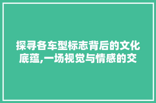 探寻各车型标志背后的文化底蕴,一场视觉与情感的交融之旅