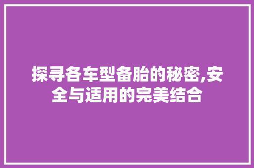 探寻各车型备胎的秘密,安全与适用的完美结合