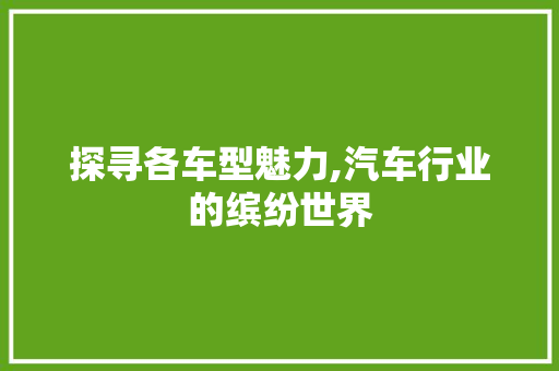 探寻各车型魅力,汽车行业的缤纷世界