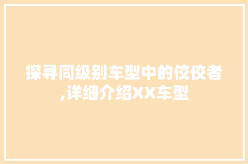 探寻同级别车型中的佼佼者,详细介绍XX车型