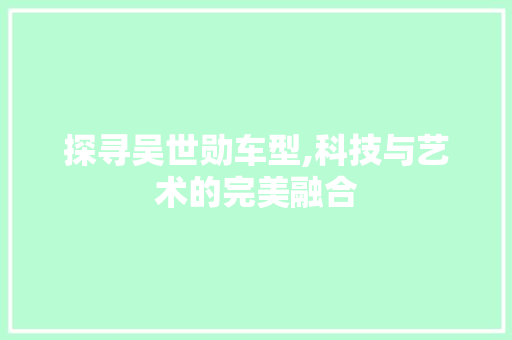 探寻吴世勋车型,科技与艺术的完美融合