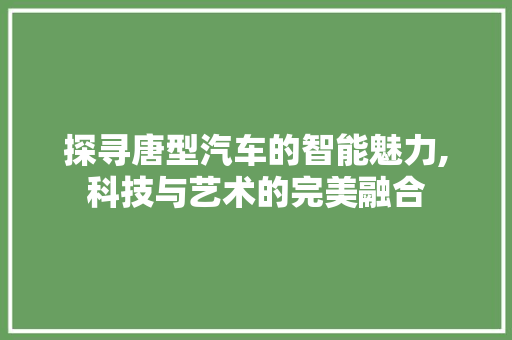 探寻唐型汽车的智能魅力,科技与艺术的完美融合