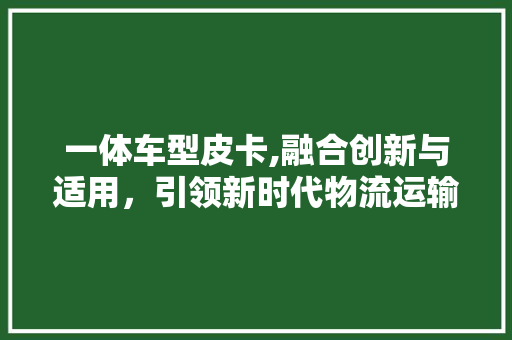 一体车型皮卡,融合创新与适用，引领新时代物流运输潮流