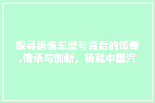 探寻唐骏车型号背后的传奇,传承与创新，铸就中国汽车辉煌