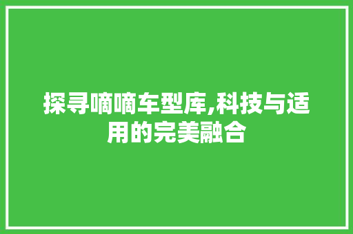 探寻嘀嘀车型库,科技与适用的完美融合