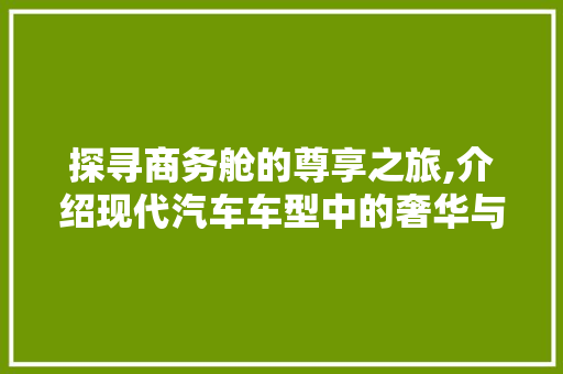 探寻商务舱的尊享之旅,介绍现代汽车车型中的奢华与科技 底盘配件