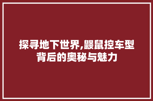 探寻地下世界,鼹鼠控车型背后的奥秘与魅力