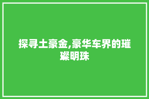 探寻土豪金,豪华车界的璀璨明珠