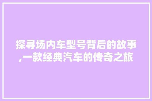 探寻场内车型号背后的故事,一款经典汽车的传奇之旅
