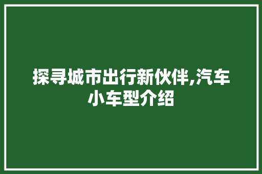 探寻城市出行新伙伴,汽车小车型介绍