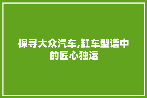探寻大众汽车,缸车型谱中的匠心独运