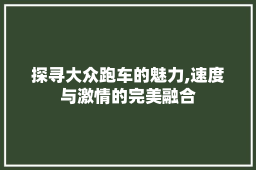 探寻大众跑车的魅力,速度与激情的完美融合