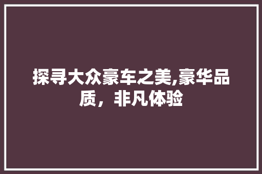 探寻大众豪车之美,豪华品质，非凡体验