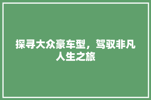 探寻大众豪车型，驾驭非凡人生之旅