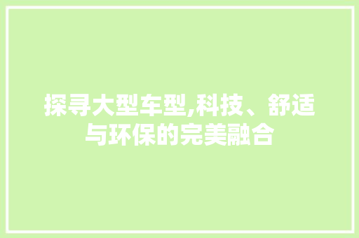 探寻大型车型,科技、舒适与环保的完美融合