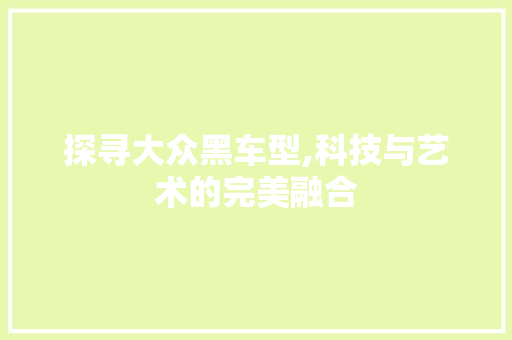 探寻大众黑车型,科技与艺术的完美融合