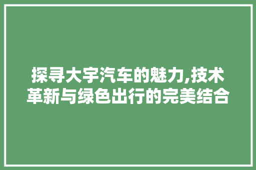 探寻大宇汽车的魅力,技术革新与绿色出行的完美结合