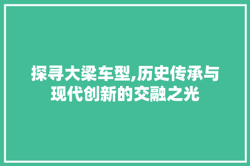 探寻大梁车型,历史传承与现代创新的交融之光