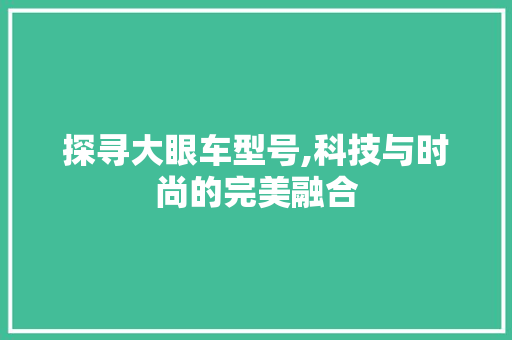 探寻大眼车型号,科技与时尚的完美融合