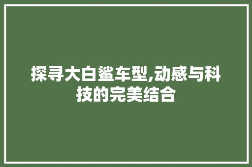探寻大白鲨车型,动感与科技的完美结合