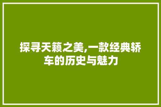 探寻天籁之美,一款经典轿车的历史与魅力