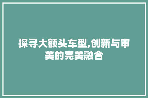 探寻大额头车型,创新与审美的完美融合