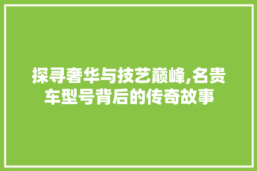探寻奢华与技艺巅峰,名贵车型号背后的传奇故事