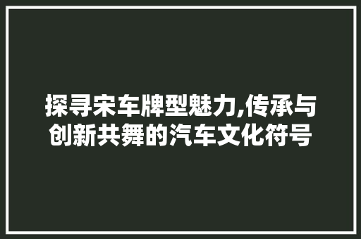 探寻宋车牌型魅力,传承与创新共舞的汽车文化符号