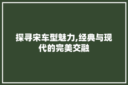 探寻宋车型魅力,经典与现代的完美交融