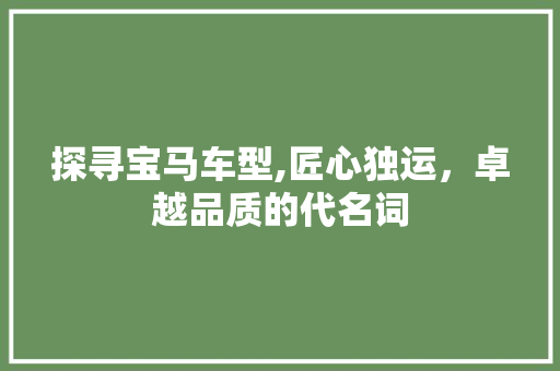 探寻宝马车型,匠心独运，卓越品质的代名词