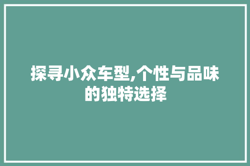探寻小众车型,个性与品味的独特选择 蓄电池配件