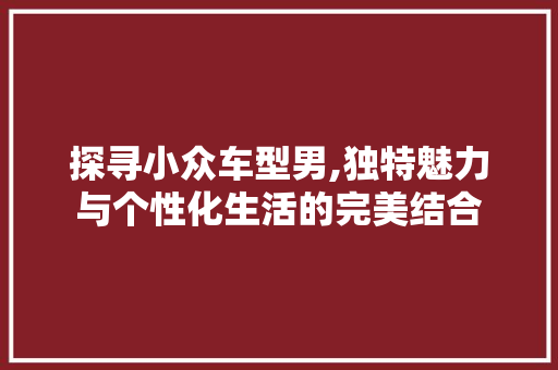 探寻小众车型男,独特魅力与个性化生活的完美结合