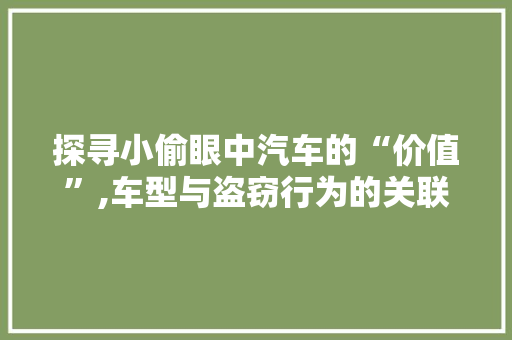 探寻小偷眼中汽车的“价值”,车型与盗窃行为的关联