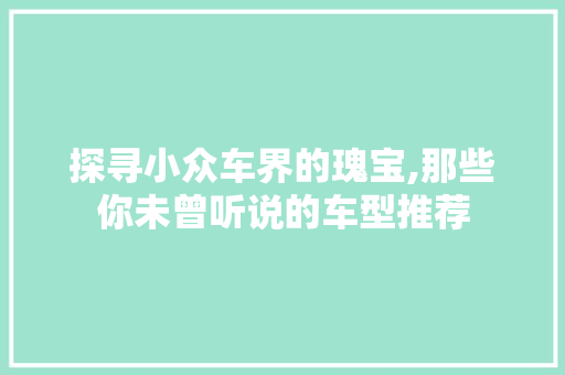 探寻小众车界的瑰宝,那些你未曾听说的车型推荐