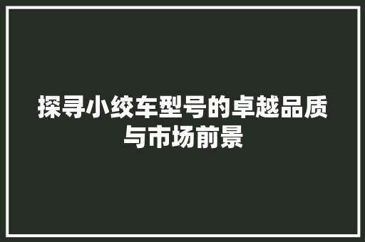 探寻小绞车型号的卓越品质与市场前景