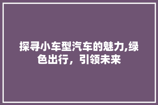 探寻小车型汽车的魅力,绿色出行，引领未来