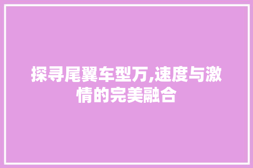 探寻尾翼车型万,速度与激情的完美融合