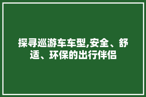 探寻巡游车车型,安全、舒适、环保的出行伴侣