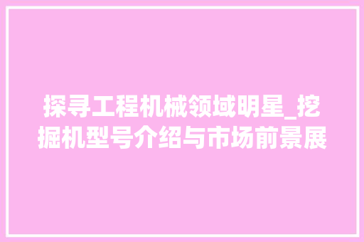 探寻工程机械领域明星_挖掘机型号介绍与市场前景展望