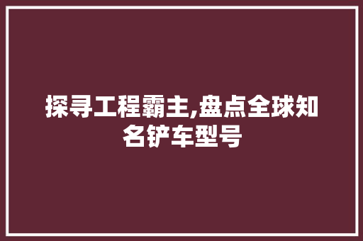 探寻工程霸主,盘点全球知名铲车型号