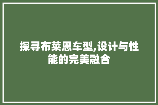 探寻布莱恩车型,设计与性能的完美融合