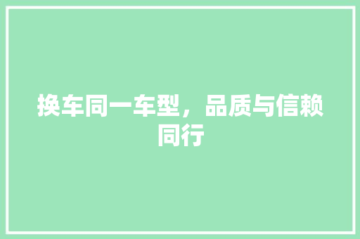 换车同一车型，品质与信赖同行