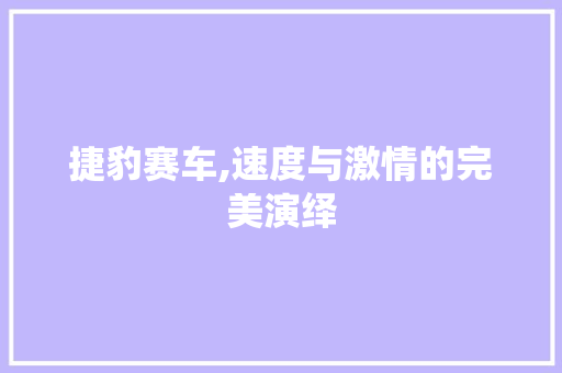 捷豹赛车,速度与激情的完美演绎