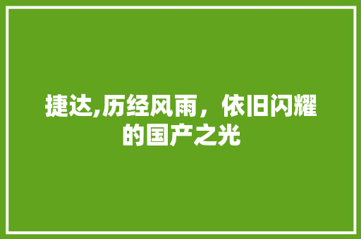 捷达,历经风雨，依旧闪耀的国产之光