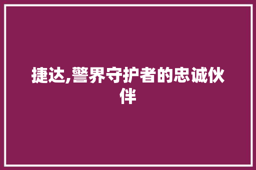 捷达,警界守护者的忠诚伙伴