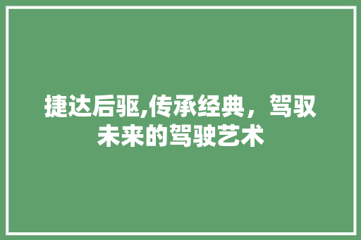 捷达后驱,传承经典，驾驭未来的驾驶艺术