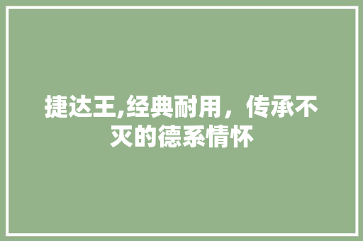 捷达王,经典耐用，传承不灭的德系情怀